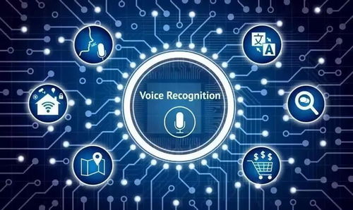 我们使用语音分析的 6 种主要方式 技术服务应用全解析