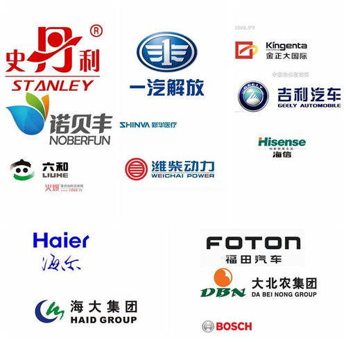 青岛德玛尔 专注机器人技术服务，引领智能化未来